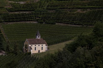 Pilgrimage church of St Valentine, Valentine's church, between vineyards, vineyards, Maia Alta,