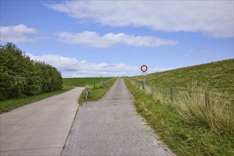 Road and driveway to the dyke near Varel, district of Friesland, Lower Saxony, Germany, Europe