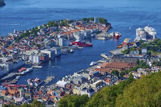 Picturesque harbour of Bergen with buildings, boats and houses, surrounded by water and green