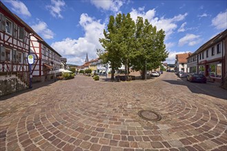 Lime tree square with summer lime trees (Tilia platyphyllos), bus stop and street layout under blue