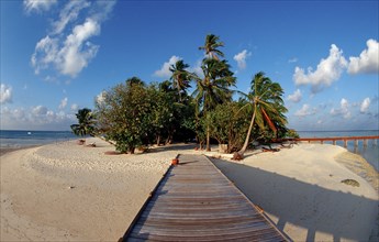 Maldives Island, Maldives, Indian Ocean, Medhufushi, Meemu Atoll, Asia