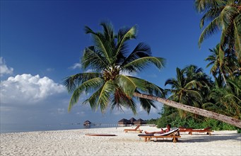 Beach on Maldives Island, Maldives, Indian Ocean, Medhufushi, Meemu Atoll, Asia