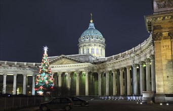 Kazan Cathedral and Christmas tree at night in St. Petersburg Russia