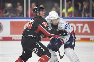 LanxessArena, Cologne, North Rhine-Westphalia, Justin Schütz (Cologne Sharks, #10), Markus