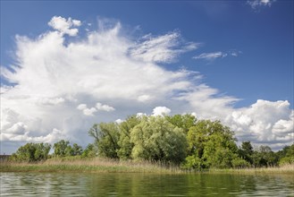 Sunny day at a lake with dramatic cloud formations and green trees along the shore, Markelfingen,