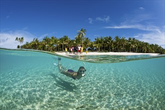 Snorkelling off Palm Island, Fadol, Kai Islands, Moluccas, Indonesia, Asia