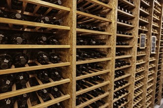 Bottles with wine stacked on wooden racks