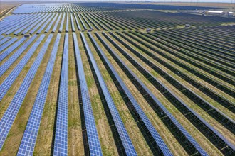 Aerial view of many panels of solar cells