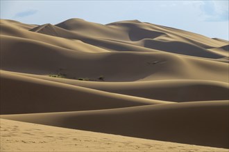 Landscape of the sand dunes in Gobi Desert at sunset, Mongolia, Asia