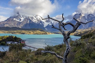 Pehoe lake in Torres del Paine chilean national park in Patagonia