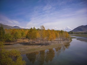 Landscape of autumn colors in Mongolia. Beauty in nature