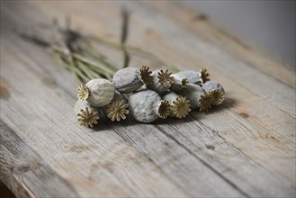 Dried poppy seed heads on wooden table