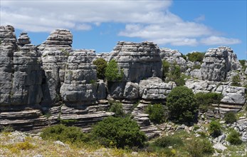 Massive rock formations with trees and blue sky in a wooded natural landscape, Karst Mountains,