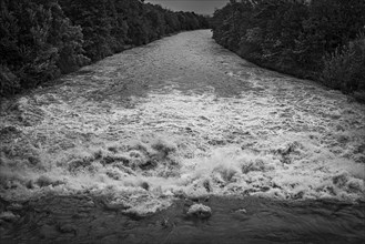 A powerful river with a strong current under a cloudy sky, surrounded by green trees, Schwarza,