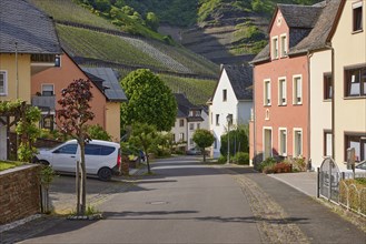 Brunnenstrasse with houses and vineyards in Bremm, Cochem-Zell district, Rhineland-Palatinate,