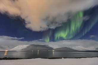 Northern Lights over fjord landscape, Aurora borealis, snow, winter, mountains, Thingeyri,