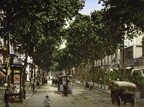 Avenue de la Gare, Nice, Riviera, France, c. 1895, Historic, digitally restored reproduction from a