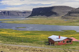 Red house, fjord, mountains, flower meadows, summer, sunny, Westfjords, Iceland, Europe