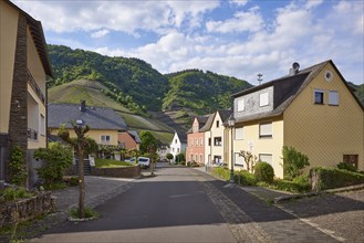 Brunnenstraße with houses and vineyards under a blue sky with white cumulus clouds in Bremm,