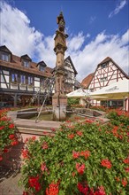 Historic market fountain with geraniums in front of a blue sky with cumulus clouds in Michelstadt,