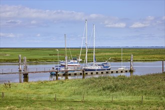 Sailing boats at the entrance to Varel harbour and dyke foreland in the town of Varel, district of