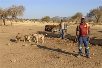 Herdsmen with their cattle at a watering place, Omunwandjai, Kaokoveld, Kunene Region, Namibia,