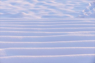 A close-up of snow with undulating steps reminiscent of sand dunes, Seegarten, Allensbach, Lake