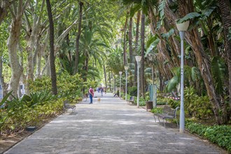 Malaga, Spain, April 2023: View on Parque de Malaga and Paseo de Espana, green and lush pedestrian