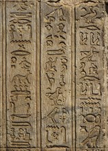 Ancient egypt hieroglyphics on wall in temple