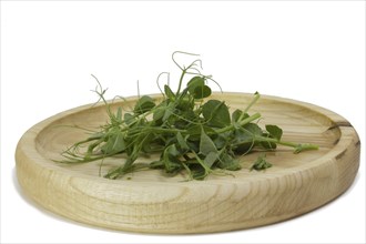 Pea sprouts microgreens in a wooden bowl. Green shoots of yak, young plants, sprouts of a tasty and