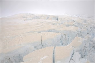 Franz Josef Glacier, Westland, New Zealand. Brown discolouration on the snow is smoke from