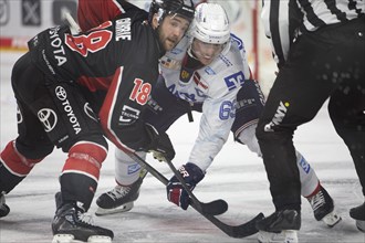 LanxessArena, Cologne, North Rhine-Westphalia, Joshua Currie (Cologne Sharks, #18), Marc Michaelis