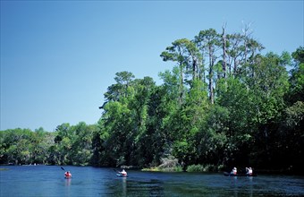 Diver in Rainbow River, USA, Florida, FL, North America