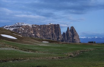 Panoramic view of Mount Sciliar from Alpe di Siusi in the Dolomites in South Tyrol, Italy, Europe