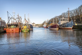 Fishing boats and trawlers docked in Eyemouth Harbour, Eyemouth, Scotland, United Kingdom, Europe