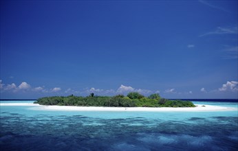 Dreamlike Maldives island, Maldives, Indian Ocean, Meemu Atoll, Asia