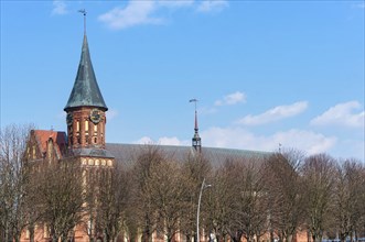 Cathedral in Kaliningrad, Cathedral of the Mother of God and Saint Adalbert, Brick Gothic,