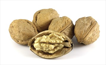 Walnuts isolated on white background. Whole and shelled nuts. Juglans regia is a valuable edible