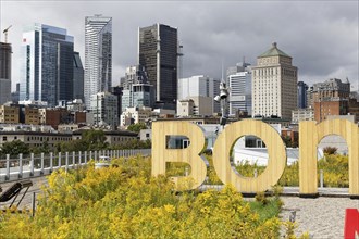 At the Cruise Ship Terminal with view on the city, Montreal, Province of Quebec, Canada, North