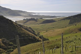 View of farms on Otago Peninsula near Dunedin, South Island, New Zealand, Oceania