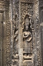 Apsara half-human, half-divine woman of Hinduism and Buddhism in the temple of Ta Prohm in Cambodia