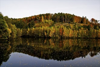 Landscape in the Bergisches Land. View of the autumnal forest from the Wiebach reservoir. Landscape