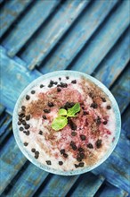 Coconut sorbet with raspberry sauce and chocolate chips