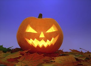 Halloween pumpkin on autumn leaves