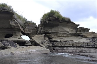 Limestone erosion at the Truman Track, Paparoa National Park, West Coast, South Island, New