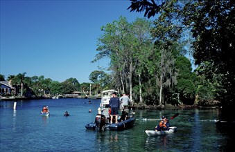 Three Sisters Manatee Sanctuary, USA, Florida, FL, Crystal River, North America