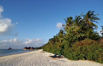 Maldivian beach, Maldives, Indian Ocean, Medhufushi, Meemu Atoll, Asia