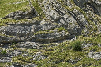 Folds of rock in mountainous terrain, background