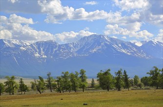 Kuray Valley landscape in the Altai Mountains, Siberia, Russia, Europe