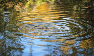 Ripples on a calm river, sunlight casting shimmering reflections AI generated